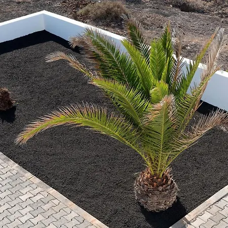 Delmar - Peje * Charco del Palo