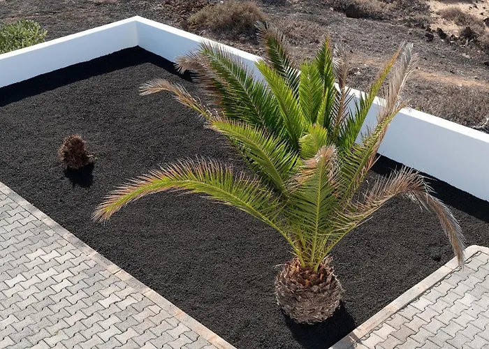 Delmar - Peje * Charco del Palo